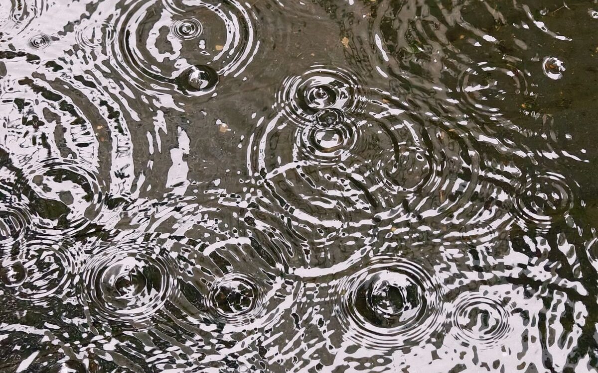 Rain falling on collected rainwater used for garden irrigation